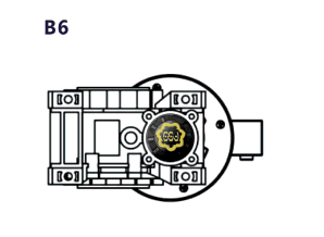 B6
