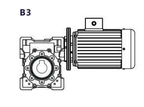 B3