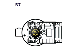 B7