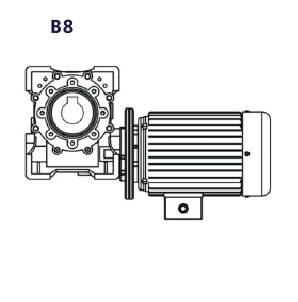 B8