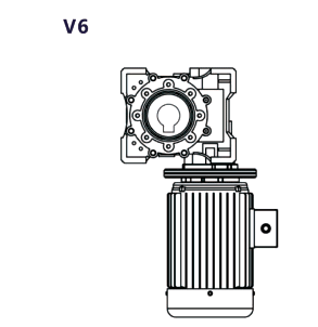 V6