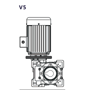 V5
