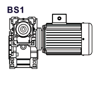 BS1
